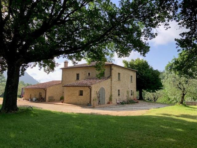 Podere Montaione 渥尔特拉 外观 照片